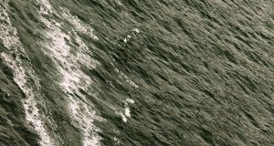 Fethiye ve Göcek’te Unutulmaz Bir Tatil: En Sevilen Restoranlar ve Yelkenli & Katamaran Kiralama Deneyimleri aloha.com2