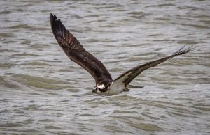 Dünyanın En Büyük Araba Üreticileri 2023 world s largest car manufacturers