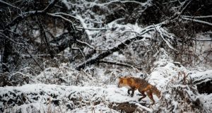 Balıkçılığın Vazgeçilmez Adresi: Av Marketler, Olta Makineleri ve Olta İğnesi Seçimi avsepeti1