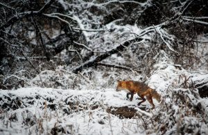 Balıkçılığın Vazgeçilmez Adresi: Av Marketler, Olta Makineleri ve Olta İğnesi Seçimi avsepeti1