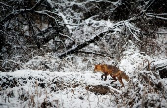 Balıkçılığın Vazgeçilmez Adresi: Av Marketler, Olta Makineleri ve Olta İğnesi Seçimi avsepeti1